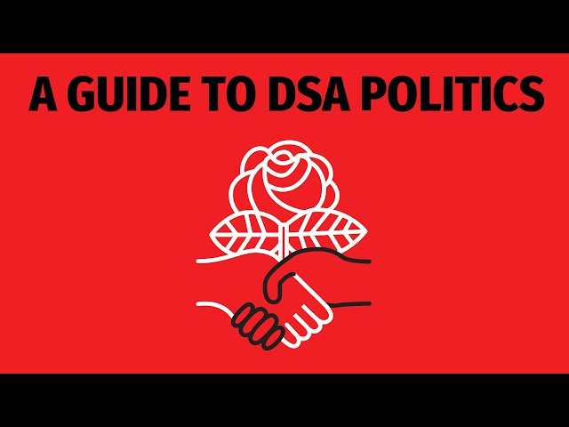 A Guide to DSA Politics