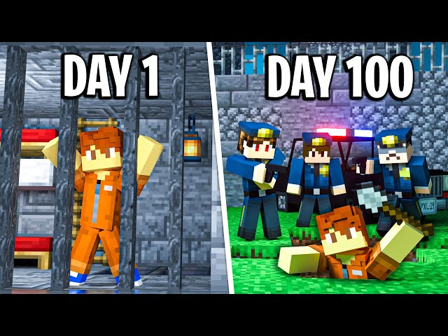 I have 100 Days to ESCAPE this Minecraft prison...
