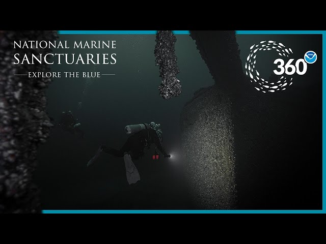 Explore the Blue: 360° Schooner St. Peter