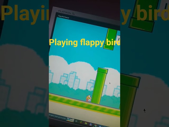 Playing flappy bird