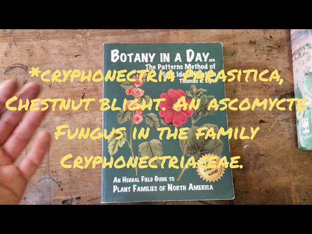 (#126) Tony Santoro's Botany Crash Course