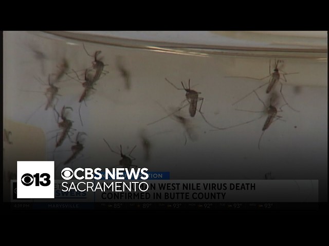 Butte County confirms its first West Nile virus death of the year