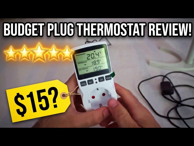 Digital Thermostat Socket (Temperature controlled programmable 220V  ON/OFF switch)
