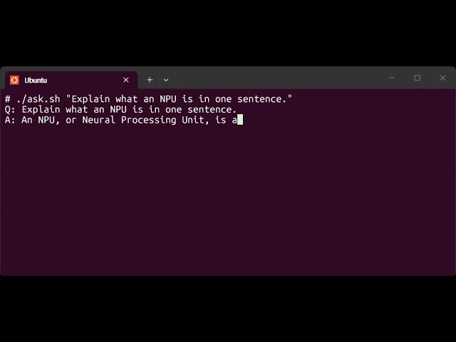 BitNet running on RISC-V SoC including my NPU, AXON.
