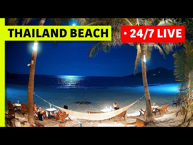 🔴 Beach Live Stream · House of Sanskara · Koh Phangan, Thailand (live stereo sound)
