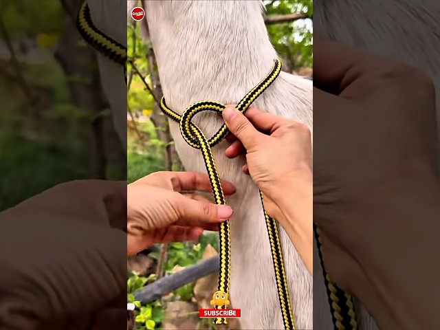 How to Make a Perfect Rope Knot – Simple Tutorial