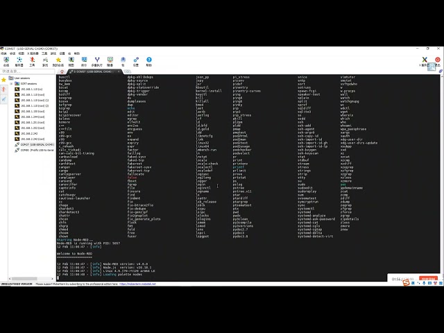 Installing Node-RED on BLIIOT BL340 edge computing controllers  | ARMxy series embedded computers