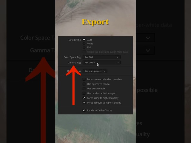 Fix Washed Out Videos Quick in Davinci Resolve!