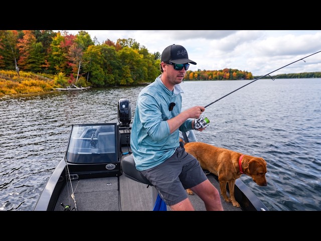 Early Fall Walleye Fishing (Tips & Harvest 🔥)