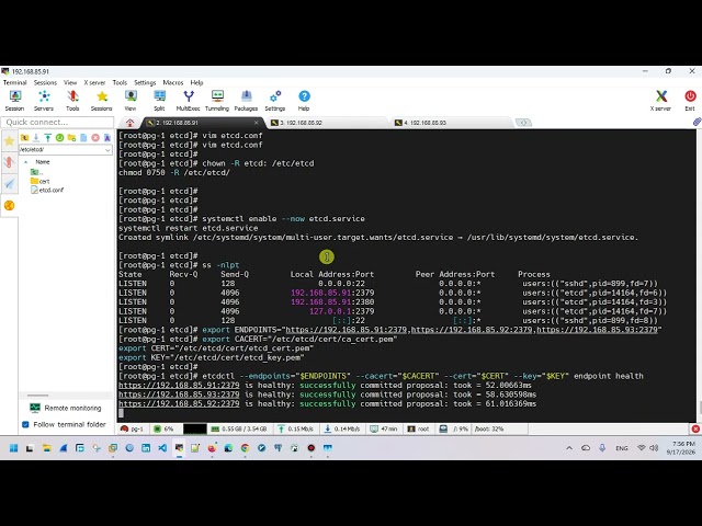 zabbix - 131 - patroni