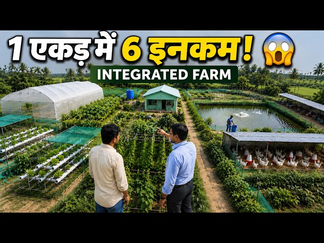 सिर्फ 1 एकड़ जमीन में 5 इनकम के सोर्स  | Smart Integrated Farming