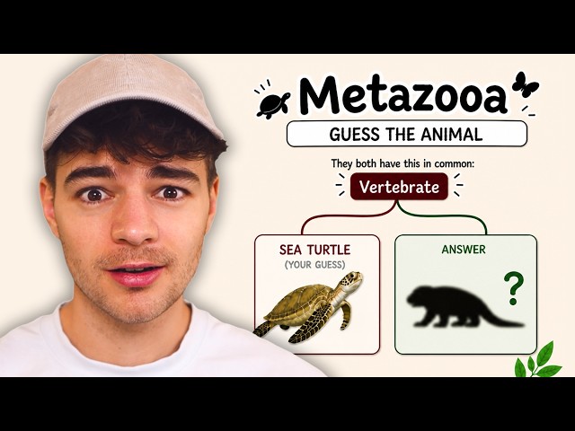 This Animal Guessing Game Is Impossible