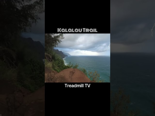 Two hours of blissful Hawaiian Trail.
