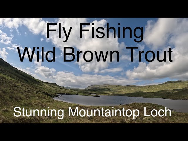 Great Day Fly Fishing a Remote Highland Loch - Wild Scottish Brown Trout