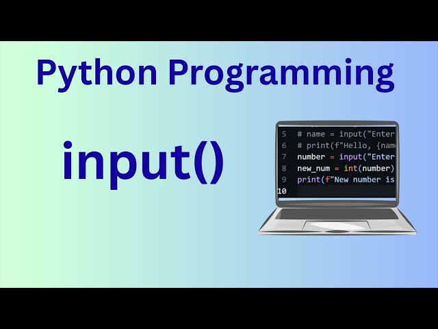 Python input() Function Explained (For Beginners)