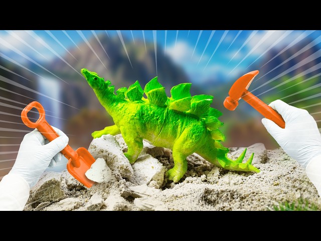Amazing Dinosaur Fossil Excavation 🦖 Digging Dinosaur Bones for Kids | Building Stegosaurus Skeleton