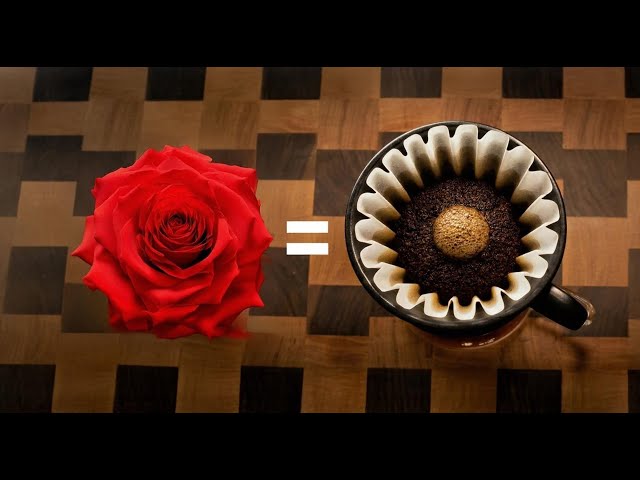 An Extraordinary Bloom | Monsooned Malabar | Kaveri Coffee Works | Berkeley, CA