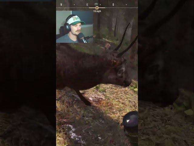 This Was A Magical Elk 😂 #wayofthehunter