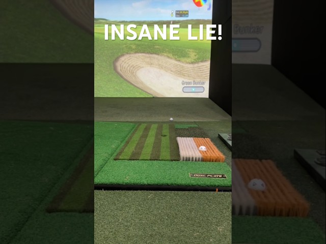 This Golf Simulator Is CRAZY REALISTIC! ⛳️