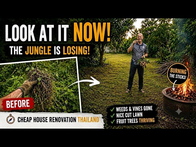 Ep.10 - The Garden is Finally Winning! | Cheap House Renovation Thailand