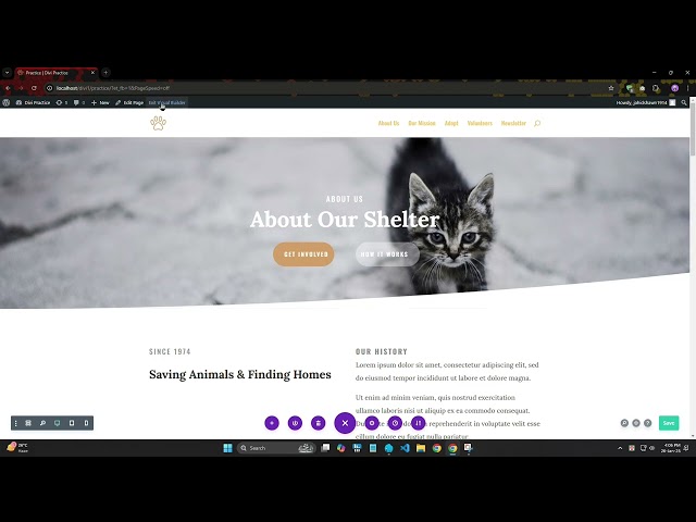 Wordpress premium theme practice with divi theme