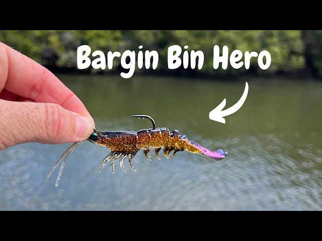 This New Zman Lure Suprised Me