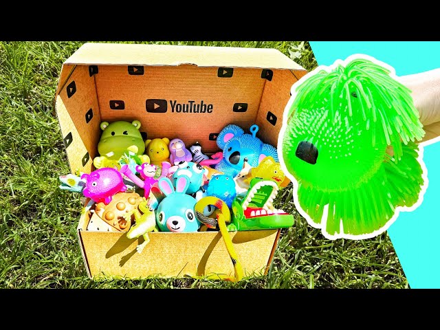 Learn Animal Names for Babies Toddlers Preschoolers Kids: Owl Hedgehog Elephant Monkey