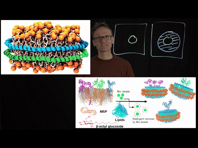Concept 37: Lipid nanodiscs