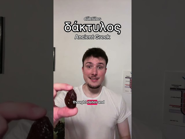 Are “dates” and “dates” the same?