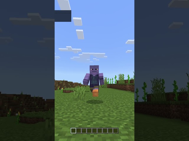 The Most Expensive Minecraft Marketplace Item...