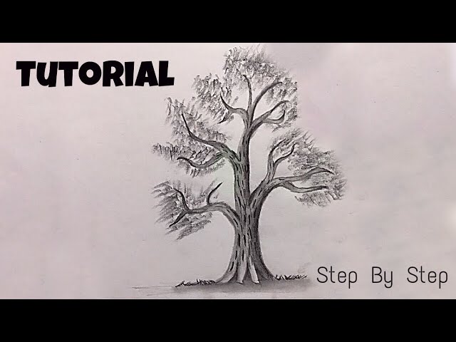 Learn To Draw A Realistic Tree Under 5 Minutes | Tutorial | Step By Step | Arts Core