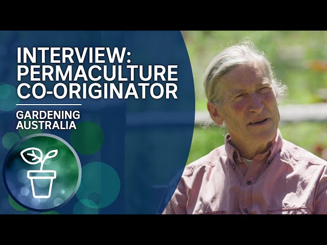Extended interview with David Holmgren: Co-originator of permaculture