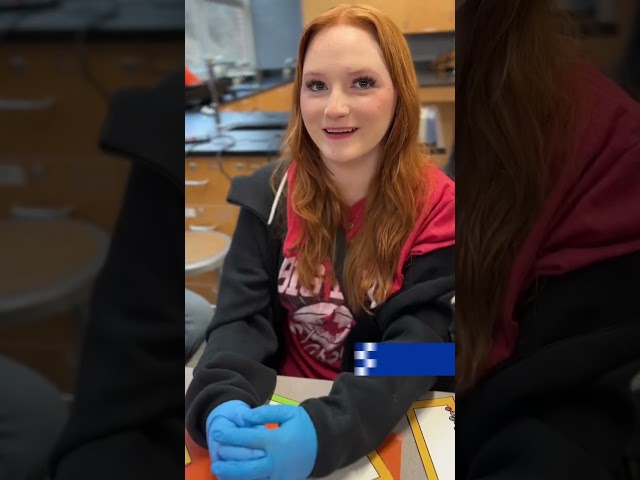 Real world experience: High school students join researchers to test water quality