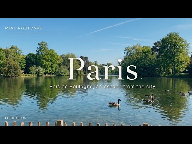 A Calm Afternoon in Bois de Boulogne, Paris 🇫🇷 | 4K Mini Postcard #02