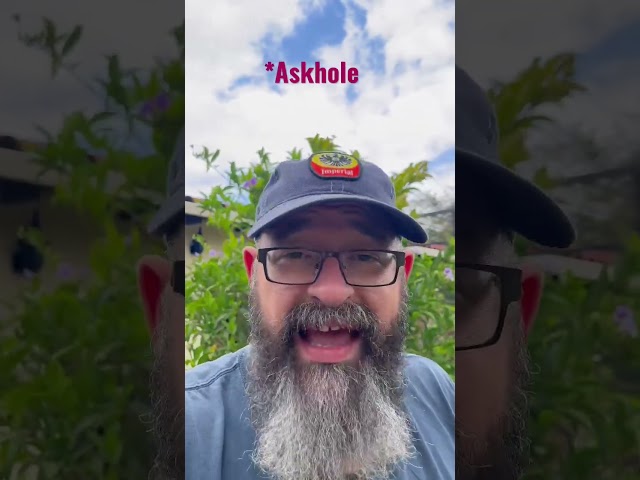 What is an Askhole