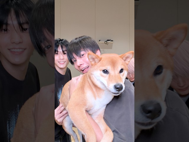 진정들하시개 🐕 #TXT #SOOBIN #TAEHYUN #HUENINGKAI