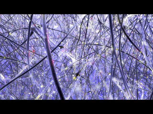 3D Procedural Neuron Forest - Microglia in Action
