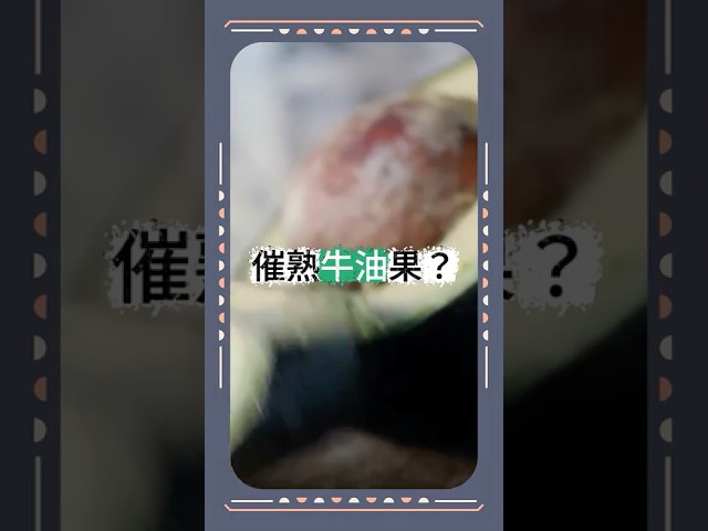 如何催熟牛油果?|健康嗎@HealthCodeHK
