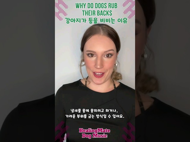 🐶💖Why Do Dogs Rub Their Backs ?💖🐶