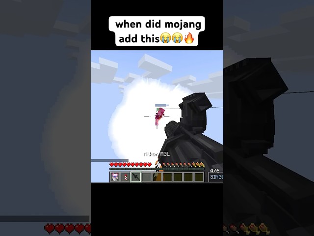 I don't remember this update #minecraft #gaming