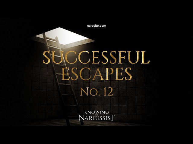 Successful Escapes : 12