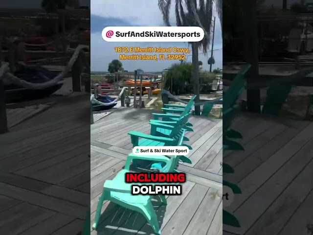Today’s Adventure was stop by Surf & ski water sports