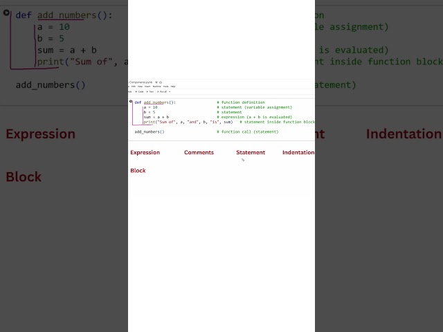 Python Syntax and Variable