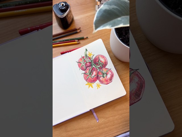 relaxing my brain with some drawing โ๐ผ๐