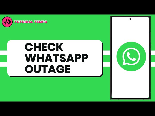 Is WhatsApp Down Right Now How to Check WhatsApp