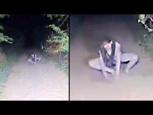 Unknown Cryptid Footage You've Never Seen Before