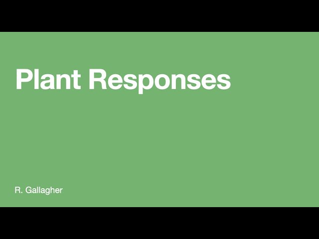 Plant Responses