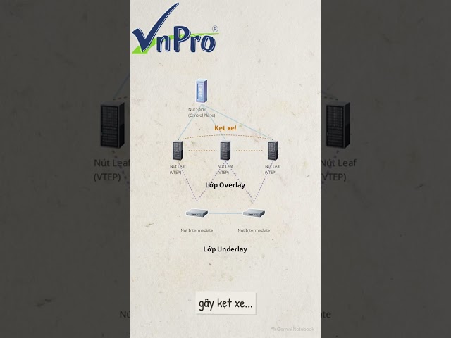 Giải mã kiến trúc mạng BGP EVPN
