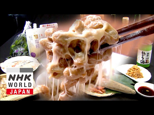 Chokatsu: Improving Gut Health - Japanology Plus