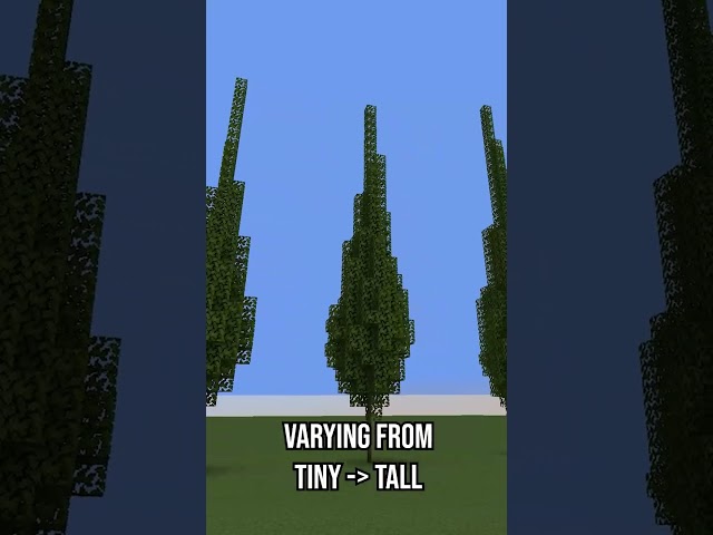 Tall Thin Bois